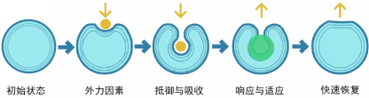 中国·388vip太阳集团(Macau)有限公司-官方网站